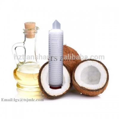 Good Food Packing exihibitor offered 1um filter cartridge elements for coconut oil filtration